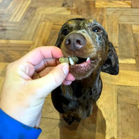 Happy customers. Product that works. Highly rated.