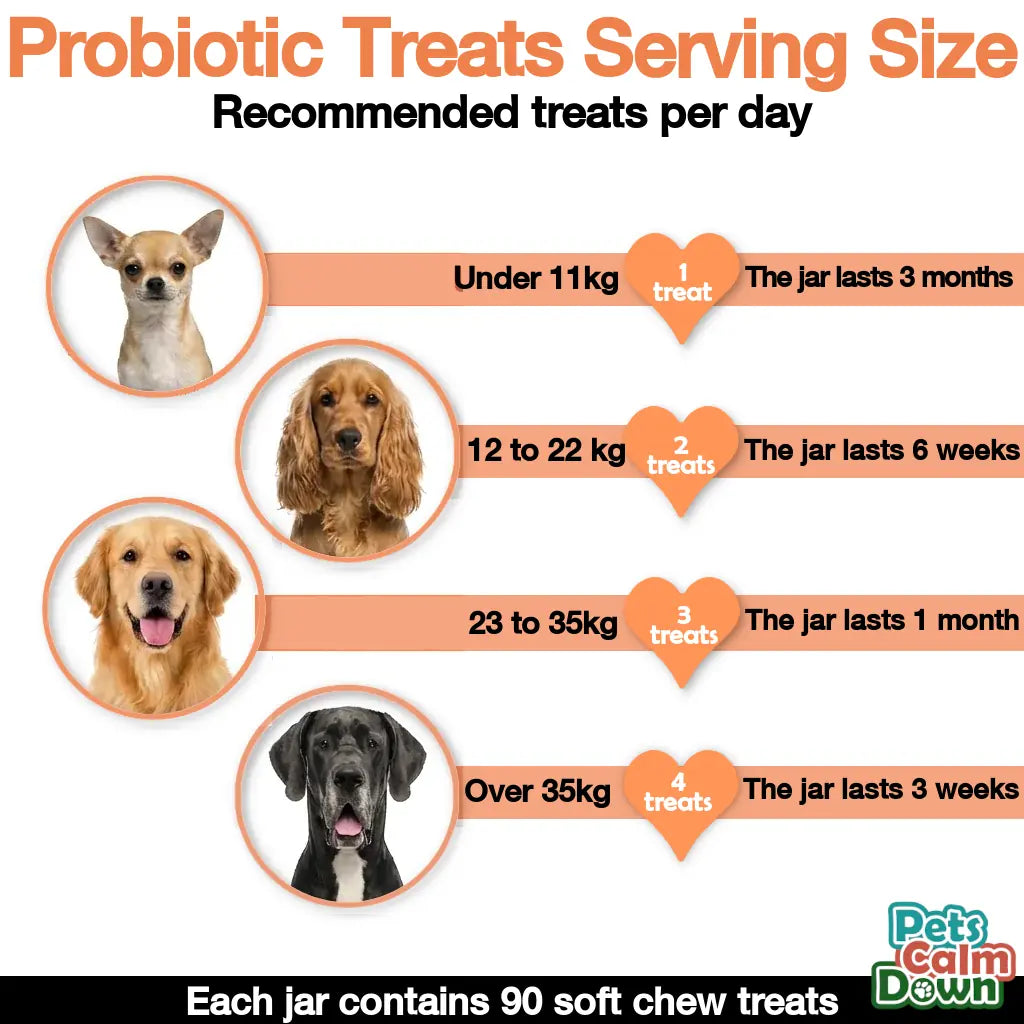 Probiotic dog treats for gas, mess, immunity, digestive health (natural herbal)
