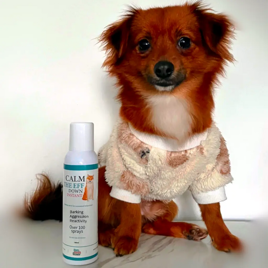Spray bottle online for dog aggression