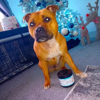 Happy customers. Product that works. Highly rated.