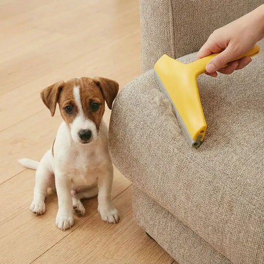 Dog Hair Remover
